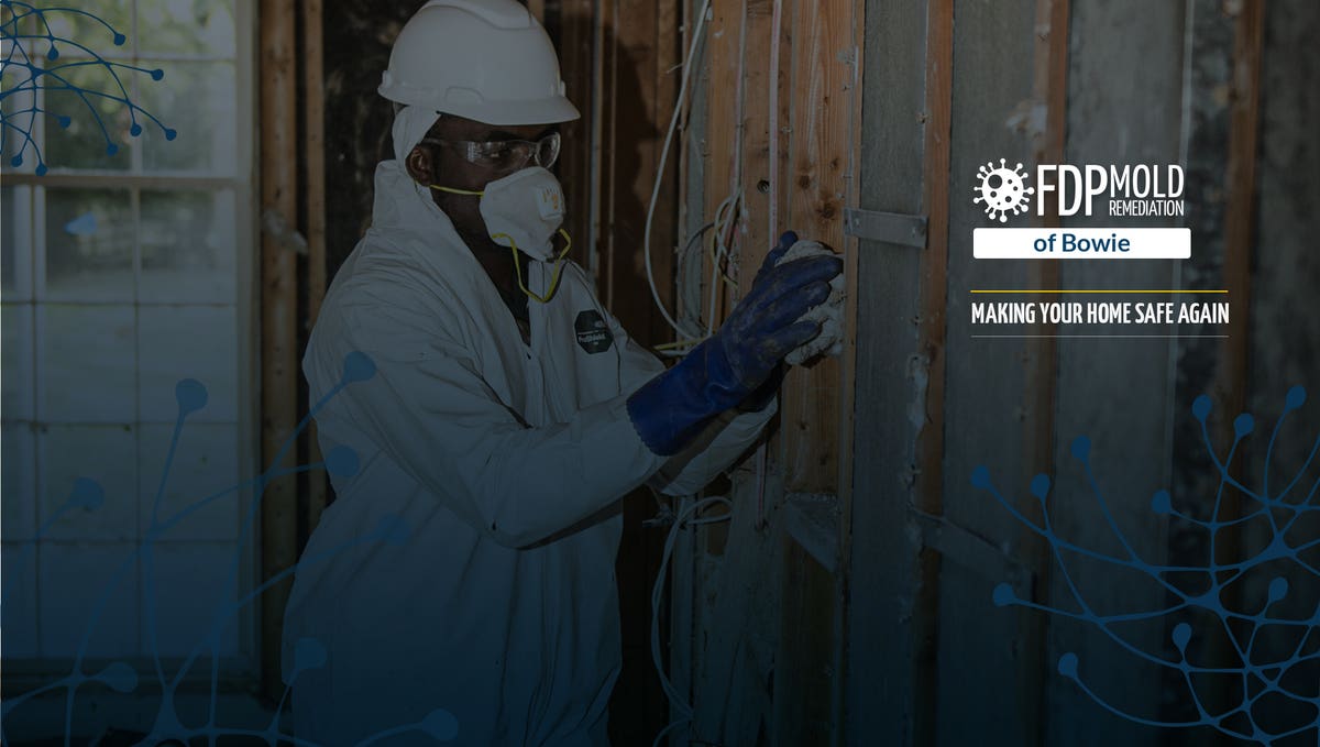 FDP Mold Remediation of Bowie