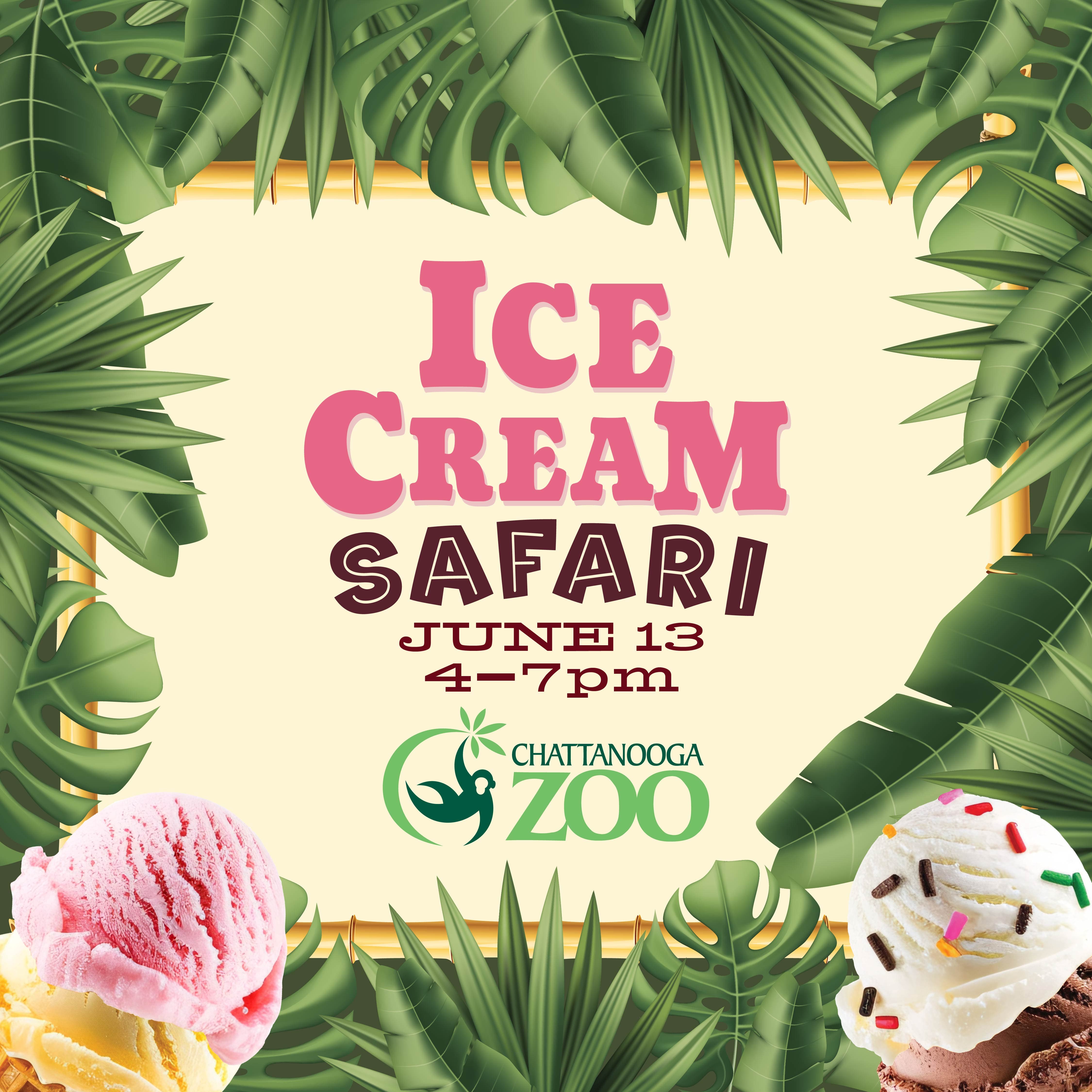 Ice Cream Safari