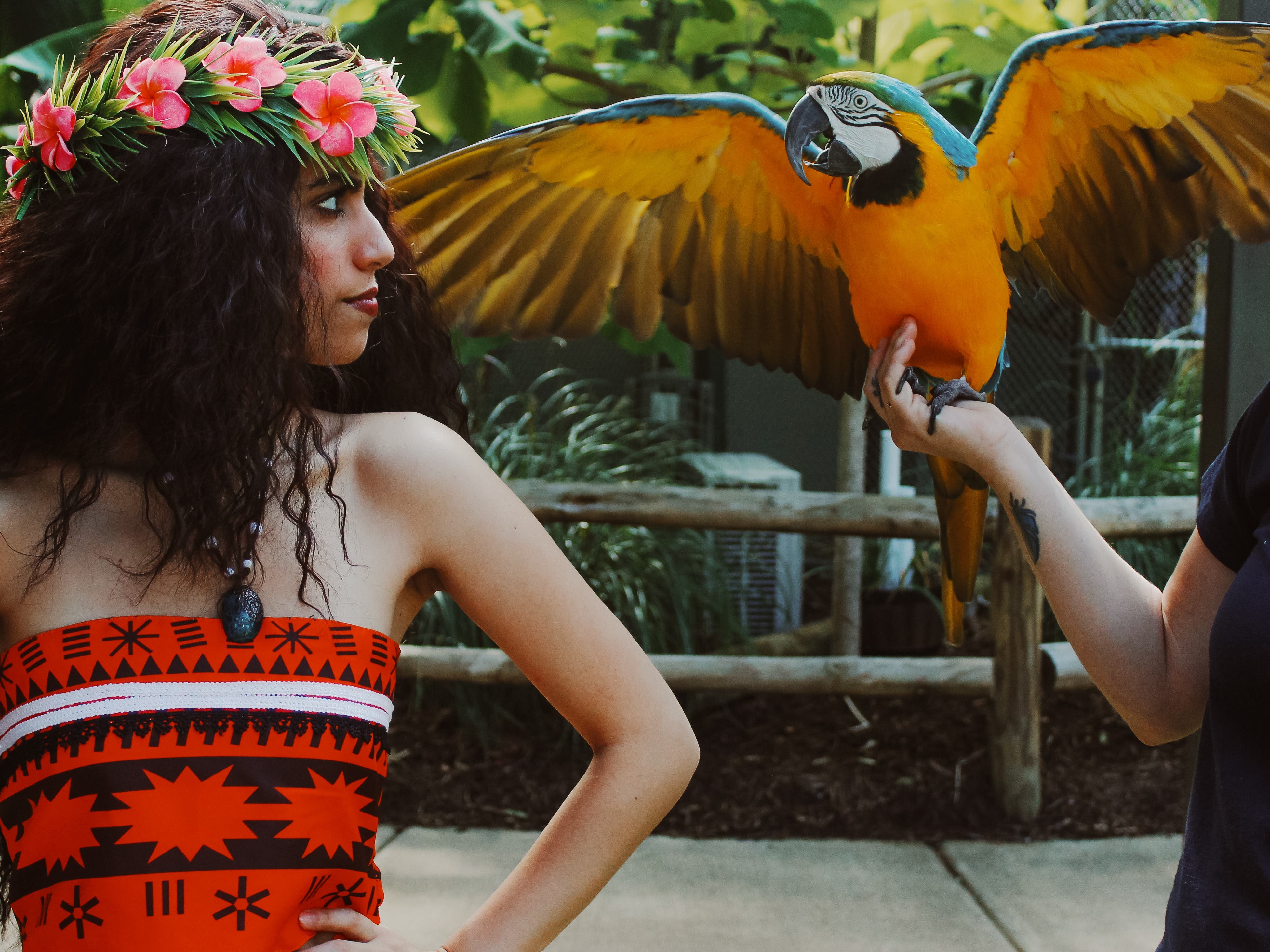 Pirates, Parrots & Princesses