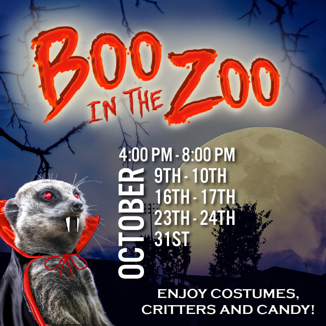 Boo in the Zoo
