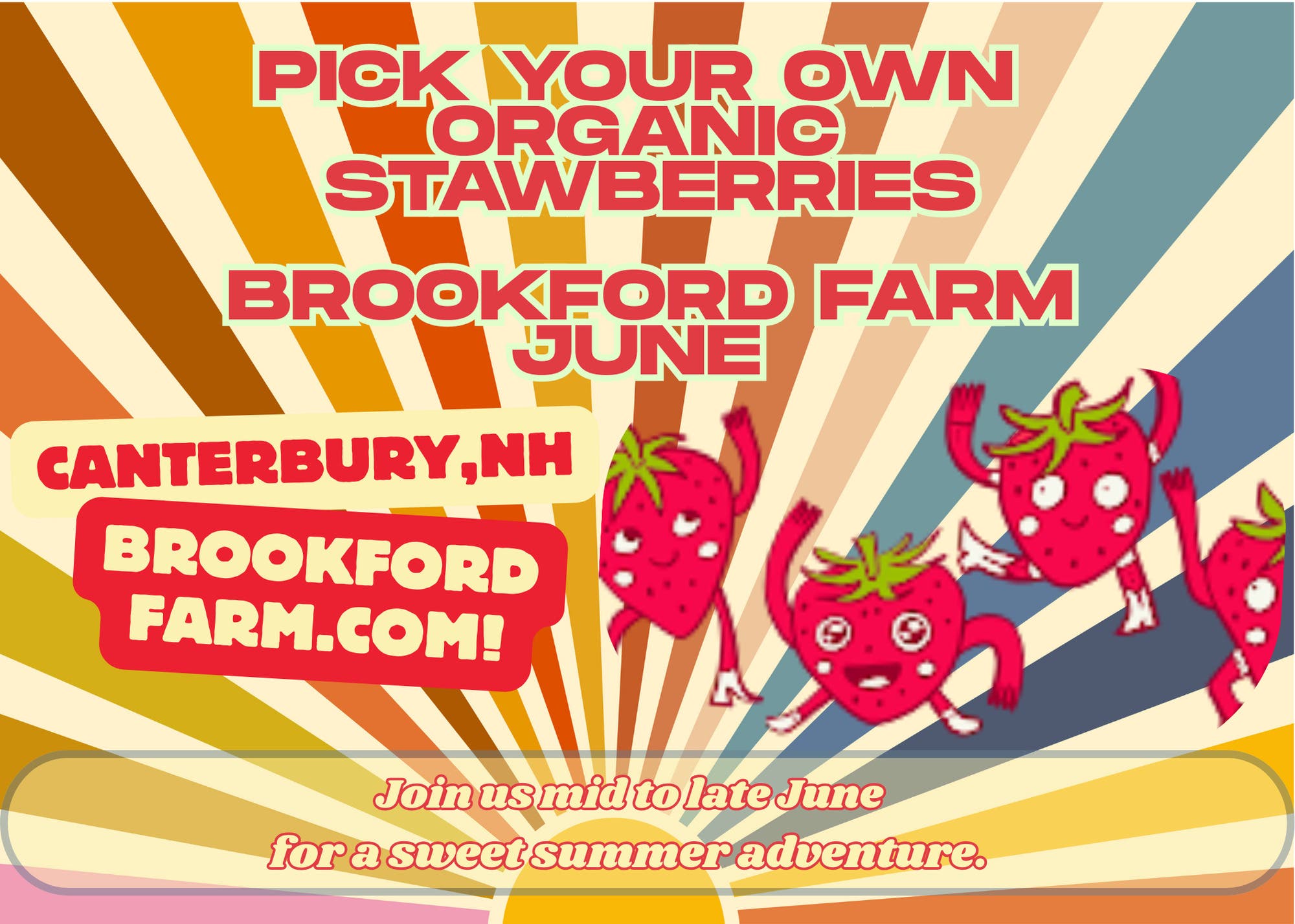 🍓Pick Your Own Organic Strawberries!