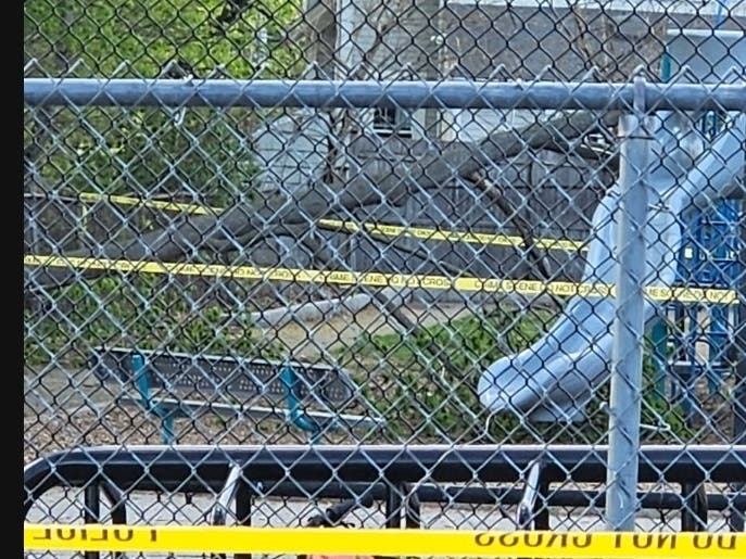 Multiple children reportedly witnessed the incident.