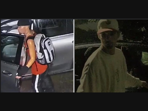 The pair was captured on camera recently.