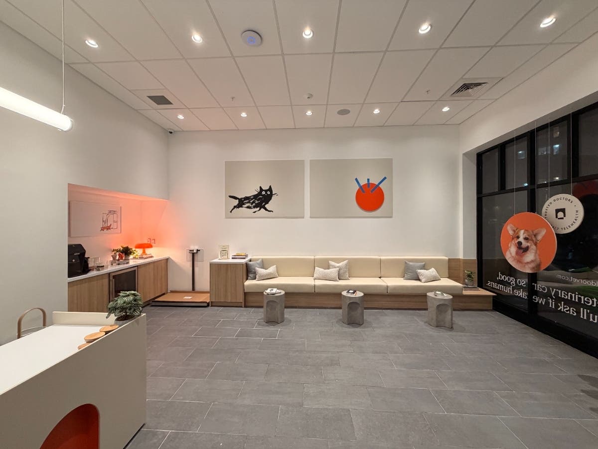 The company originated in 2019 in New York City.