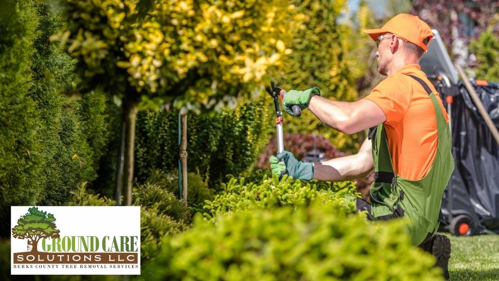 Ground Care Solutions LLC
