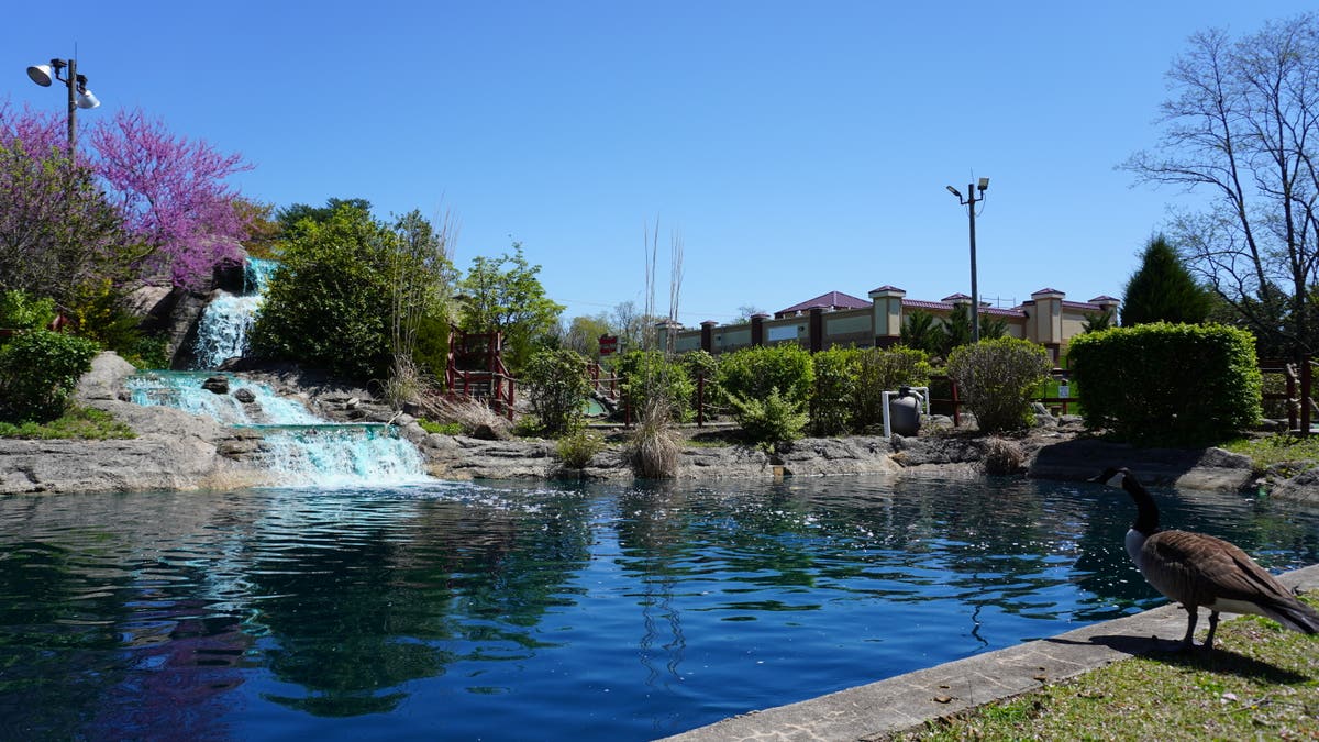 Swing Time Sports Park