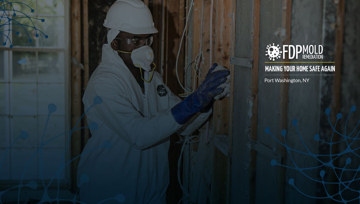 FDP Mold Remediation of Port Washington