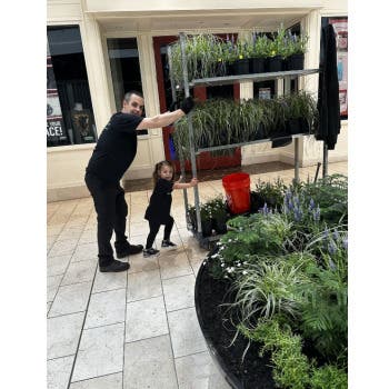 Garden State Interior Foliage