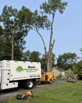 Green Tree Services