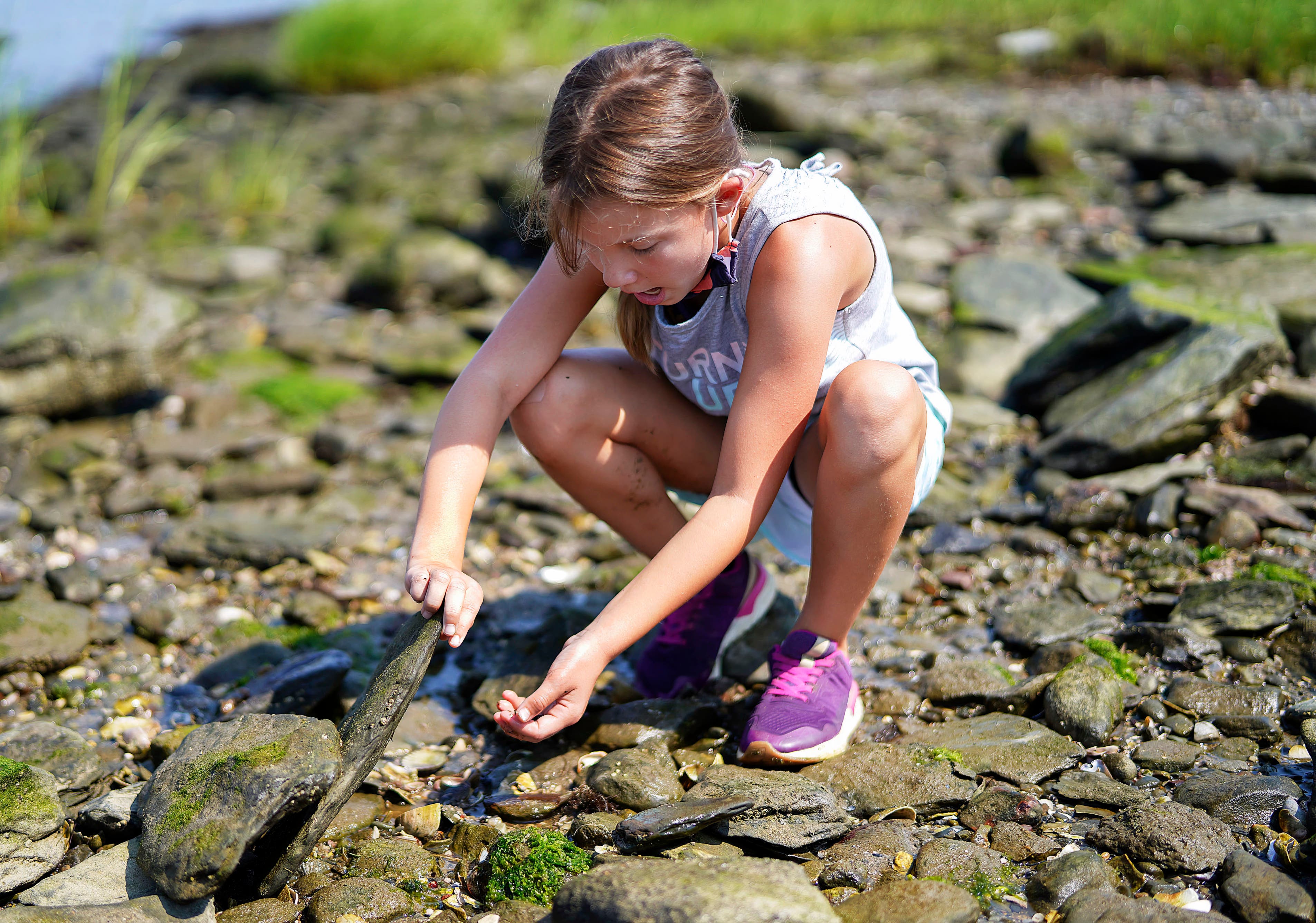 Bank of America Free Family Fun Day - Explore the Shore