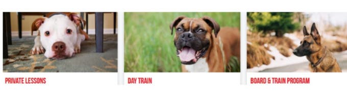 Sit Means Sit Dog Training Salt Lake City