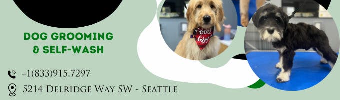Seattle Canine Club - Dog Grooming & Self-Wash