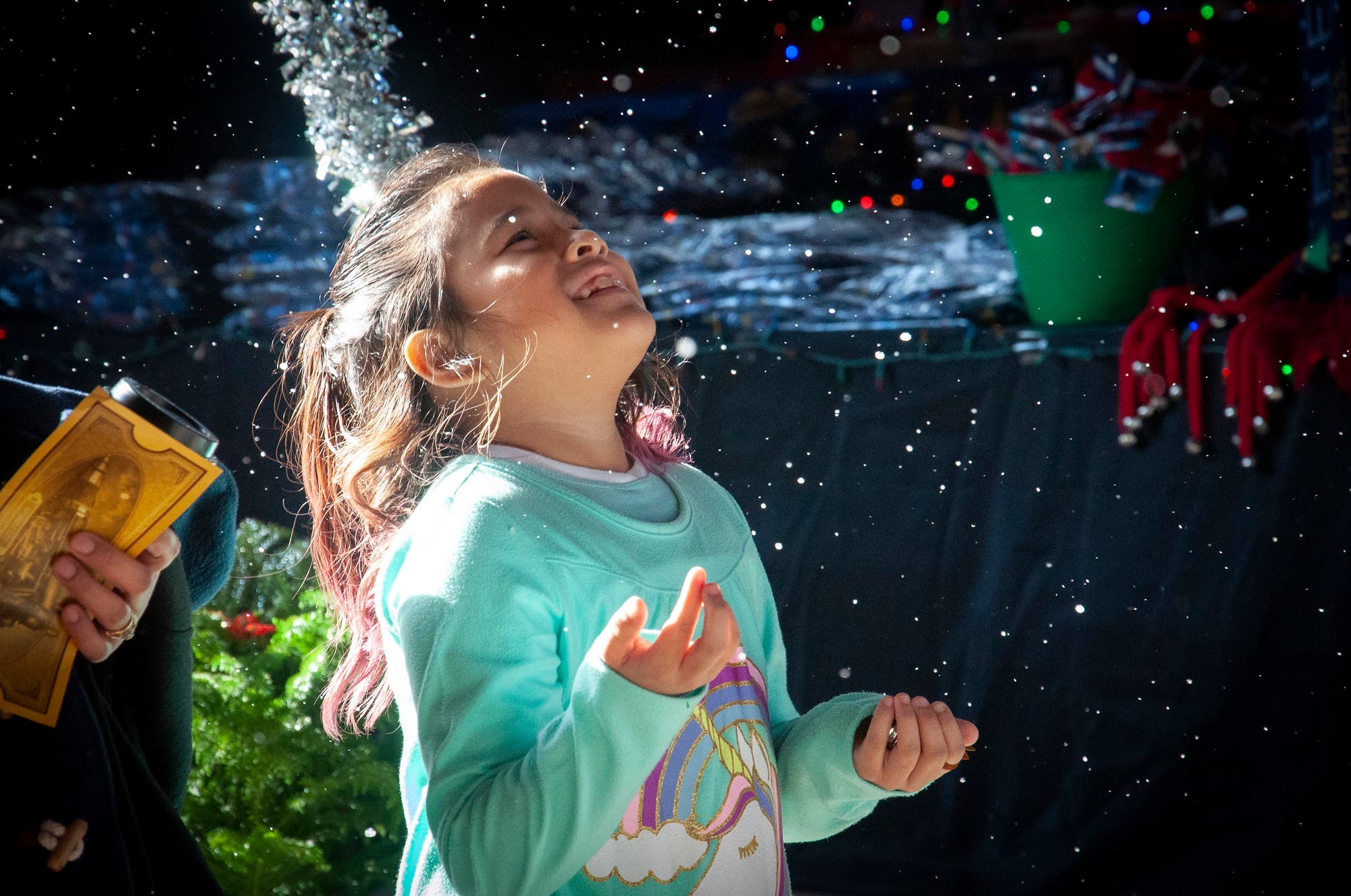 THE POLAR EXPRESS™ Train Ride