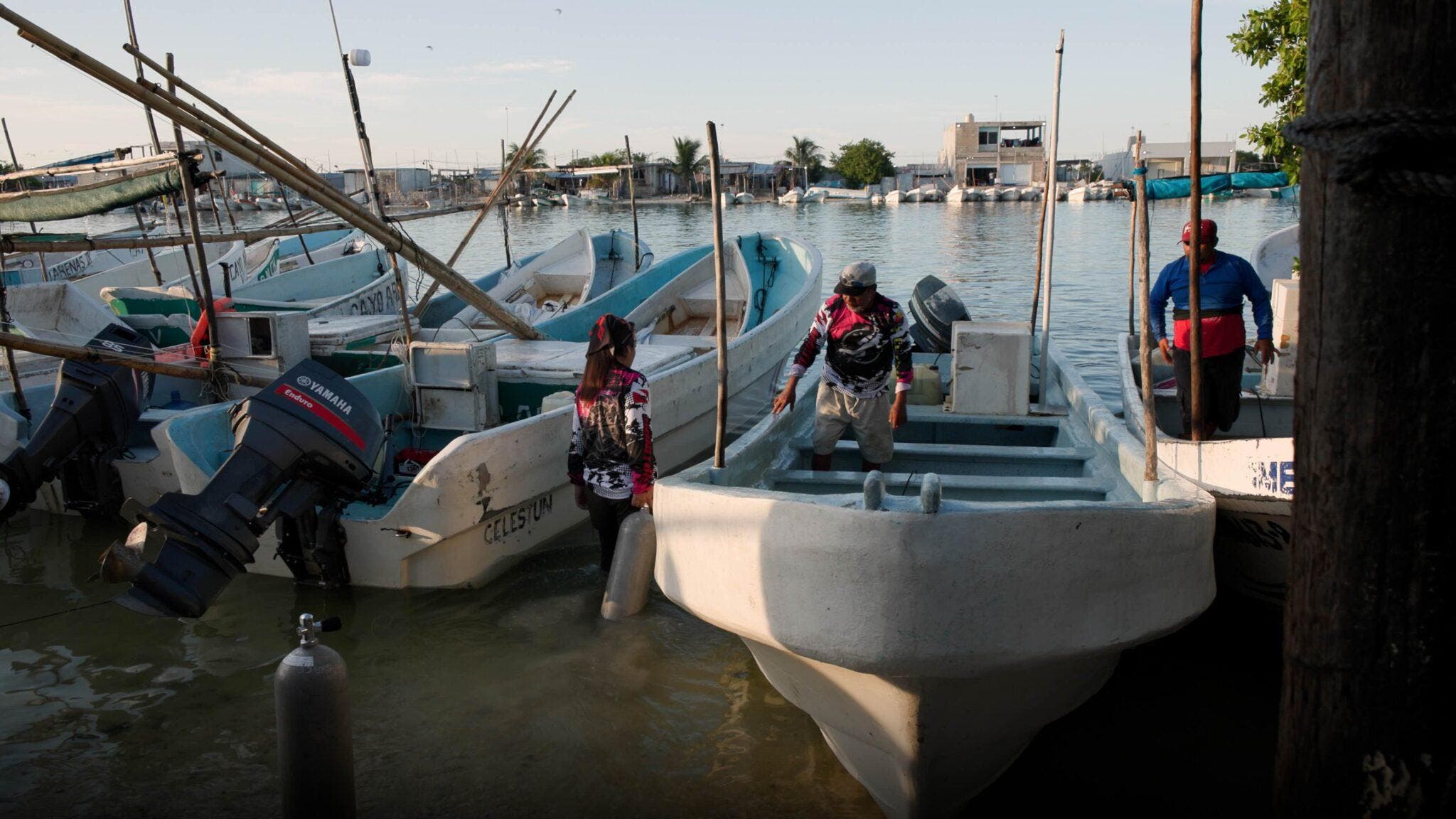 South Street Seaport Museum Announces Climate Film Festival Screenings at the Seaport Museum