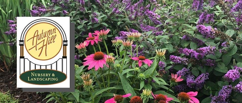Autumn Hill Nursery