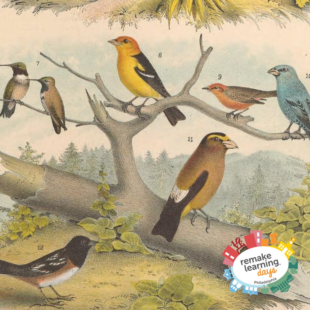 May First Saturday Open House: Go Birds!