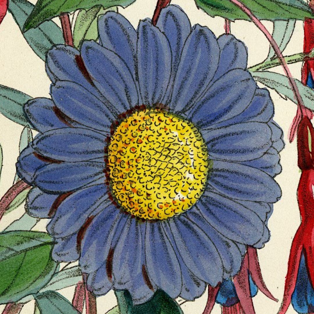 September First Saturday: Printmaking—When Science Meets Art
