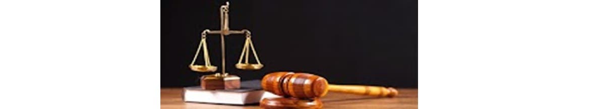 Ronemus & Vilensky Attorneys At Law