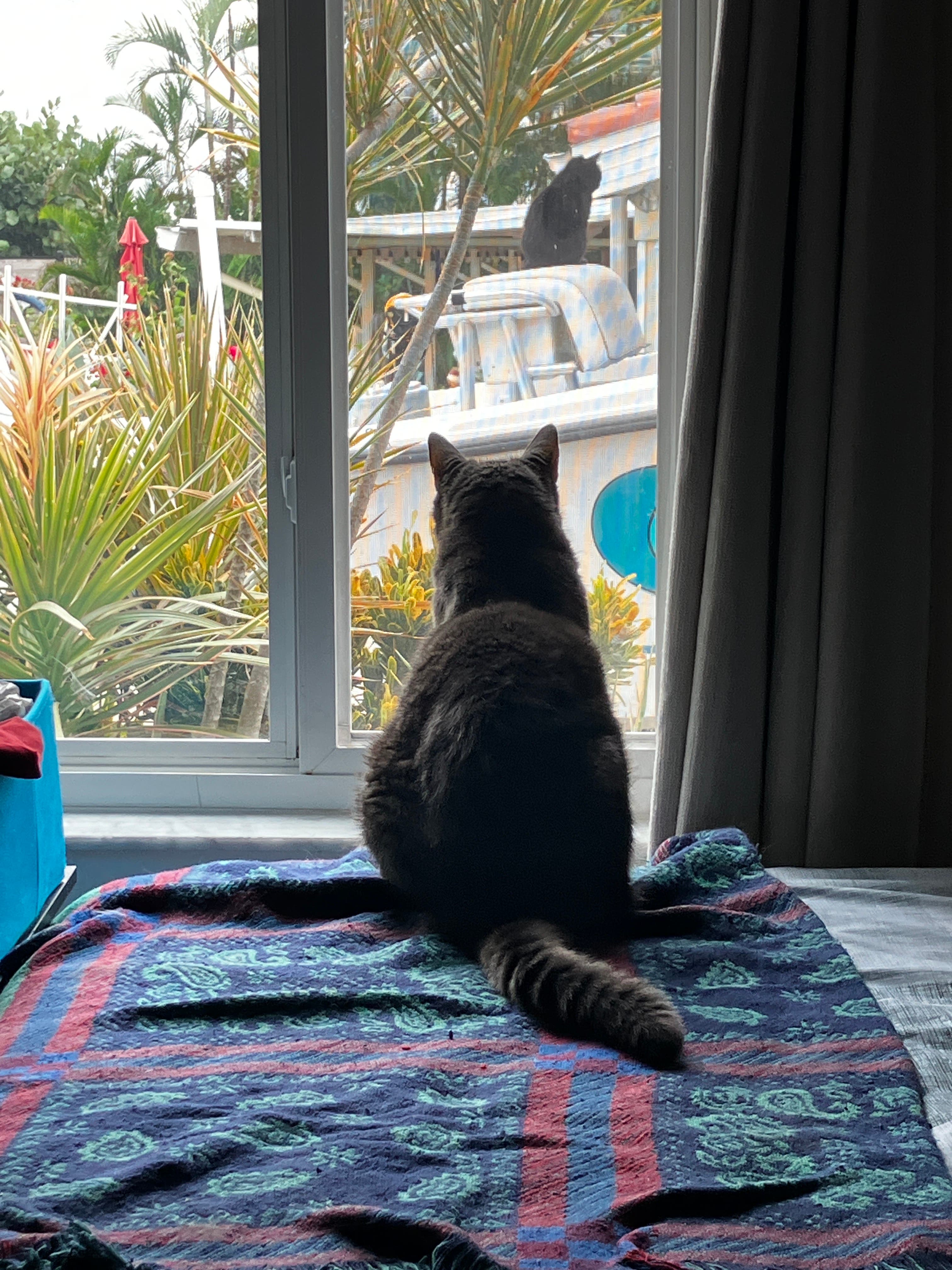 Affordable Moving & Household Relocation Service