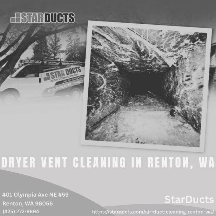 Can Birds or Pests Clog a Dryer Vent in Renton? Insights From StarDucts