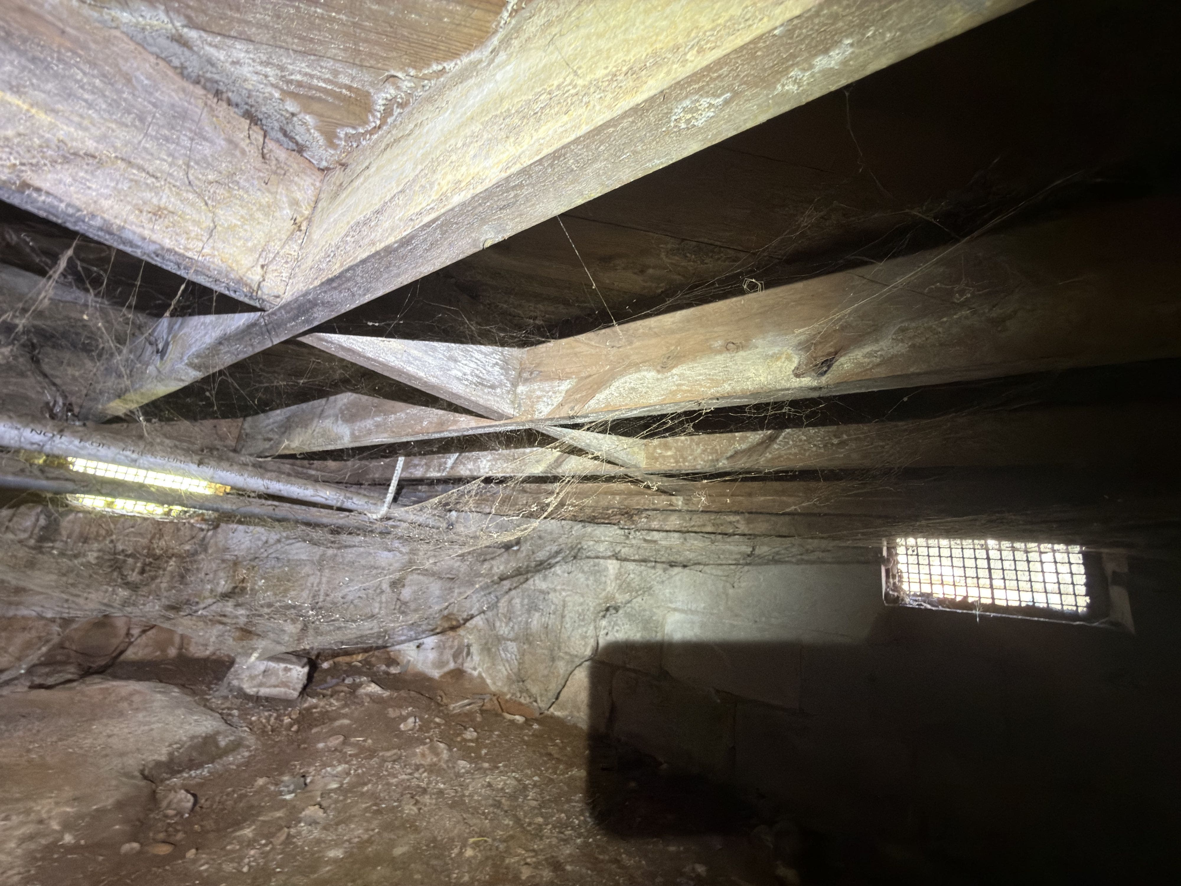 What's Under Your Crawlspace?
