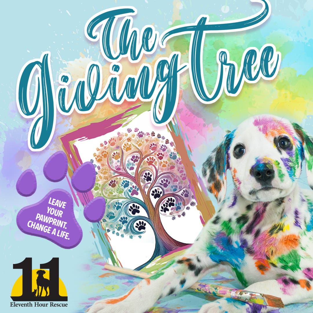 Leave Your Pawprint on Our New Mural - Giving Tree Mural Coming to Eleventh Hour Rescue 
