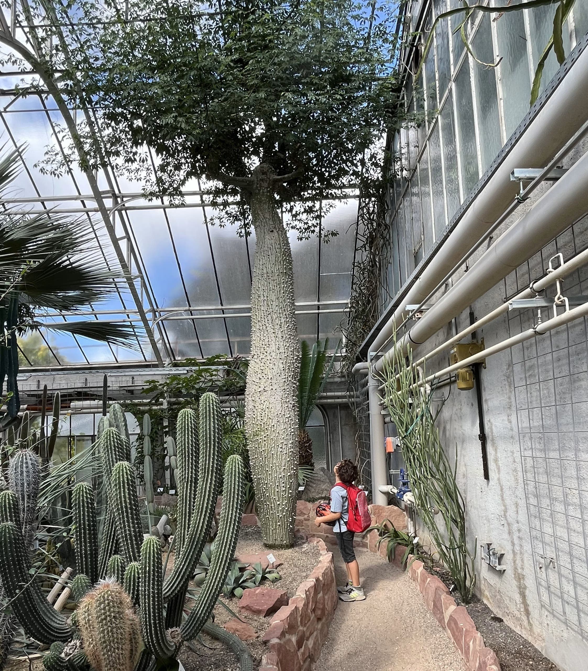 South Coast Cactus & Succulent Society November Meeting