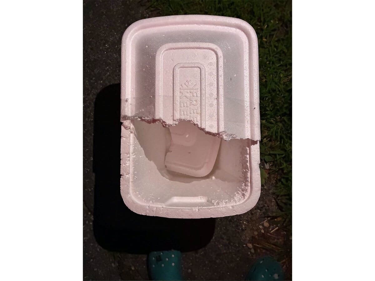 Kittens were abandoned in this container in Essex, according to animal control officials.