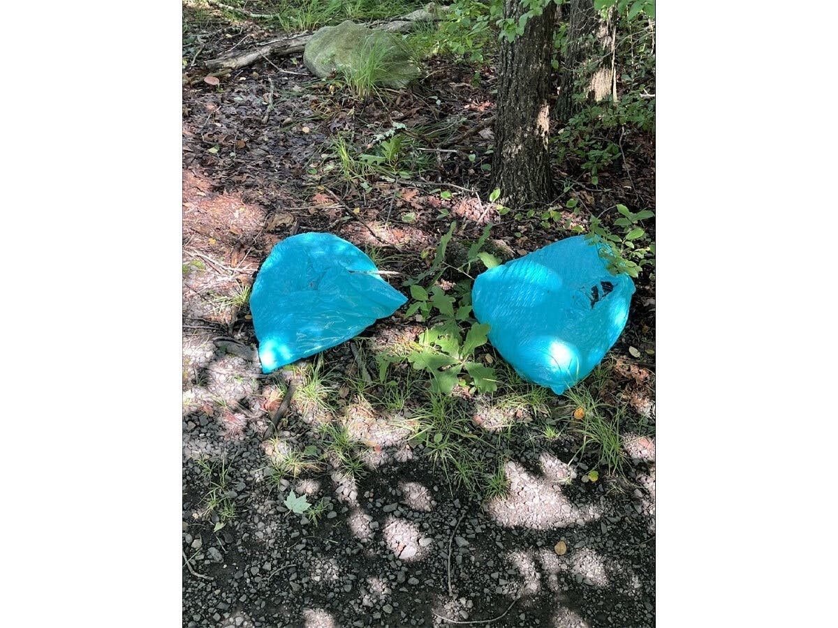 Wolcott police found two deceased dogs dumped in garbage bags near a walking trail on Aug. 8, 2026.