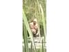 A zoomed in image of the unidentified figure. 
