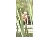 Another zoomed in image of the unidentified figure photographed in Onondaga County, New York on Aug. 10, 2026.