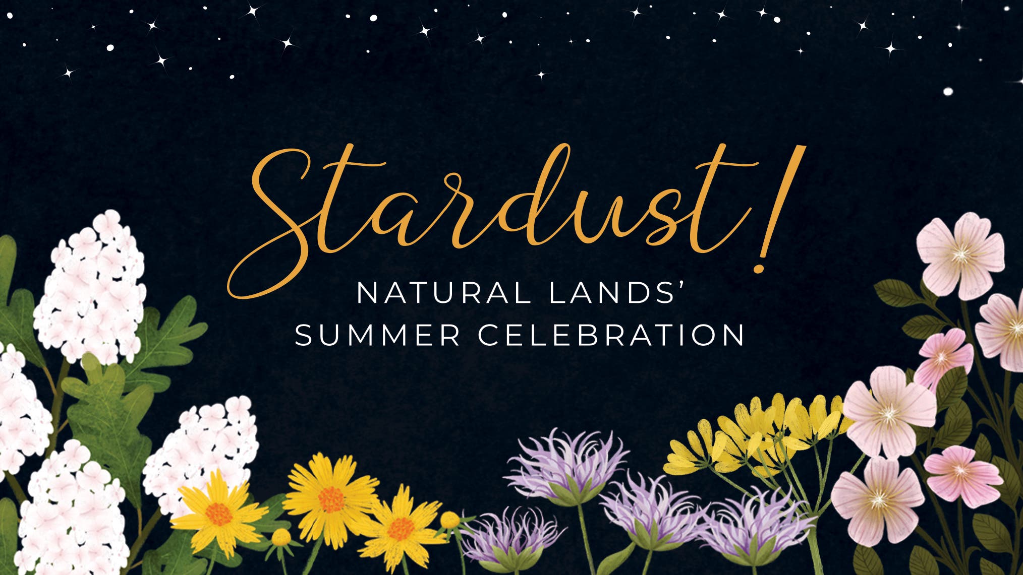 Stardust! Summer Celebration