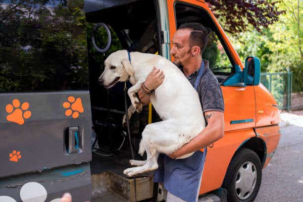 Buddies Mobile Pet Grooming and Care