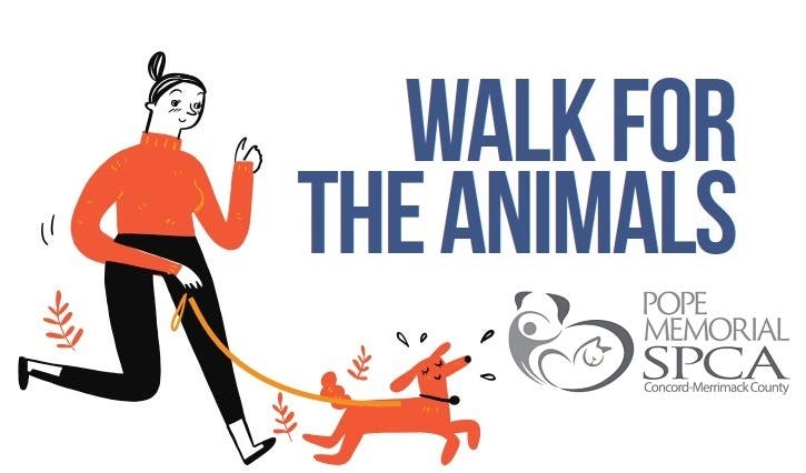Walk for the Animals