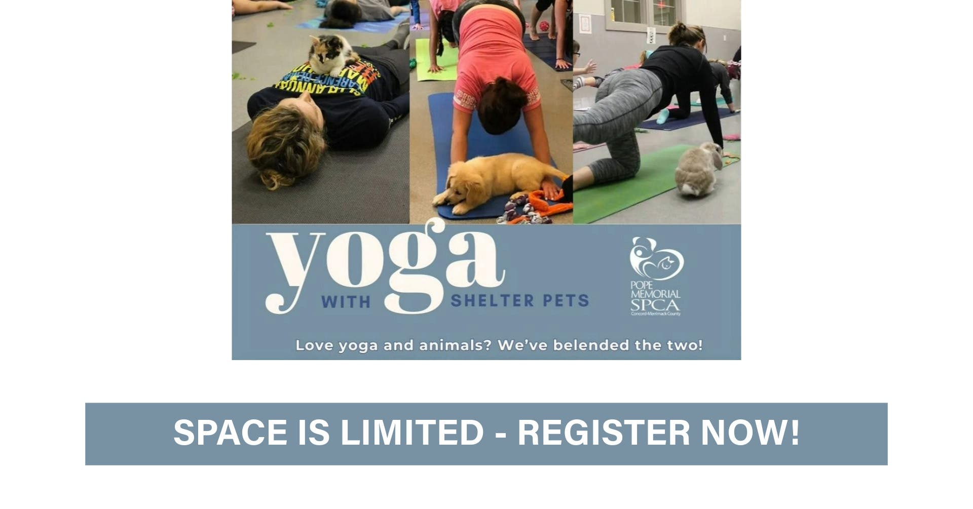 Yoga with Shelter Pets