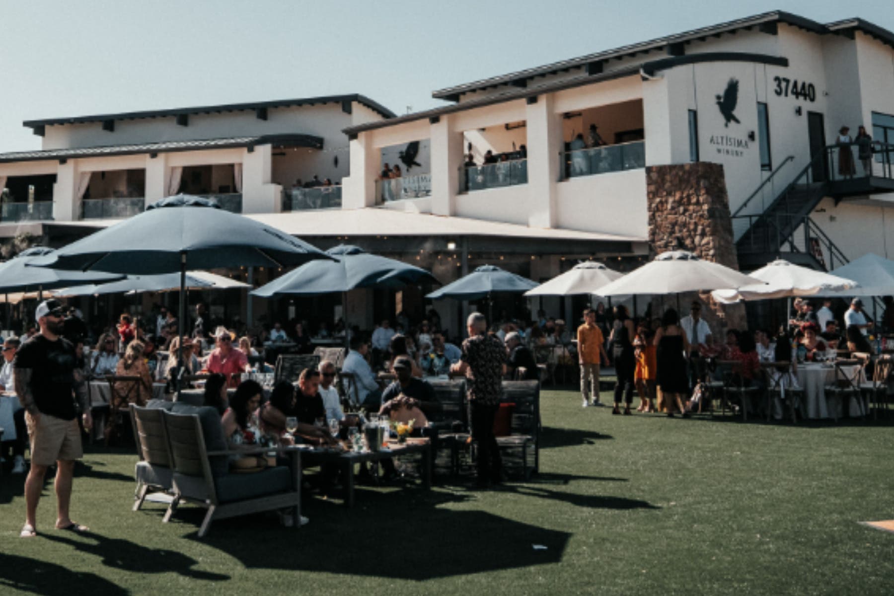 Live Music at Altísima Winery | Jorge Martell