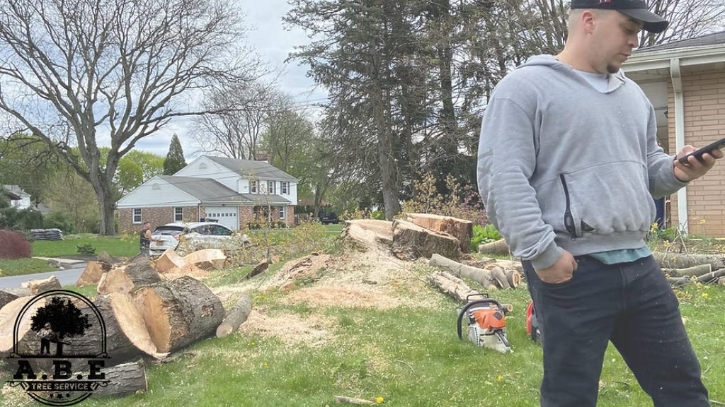 ABE Tree Service
