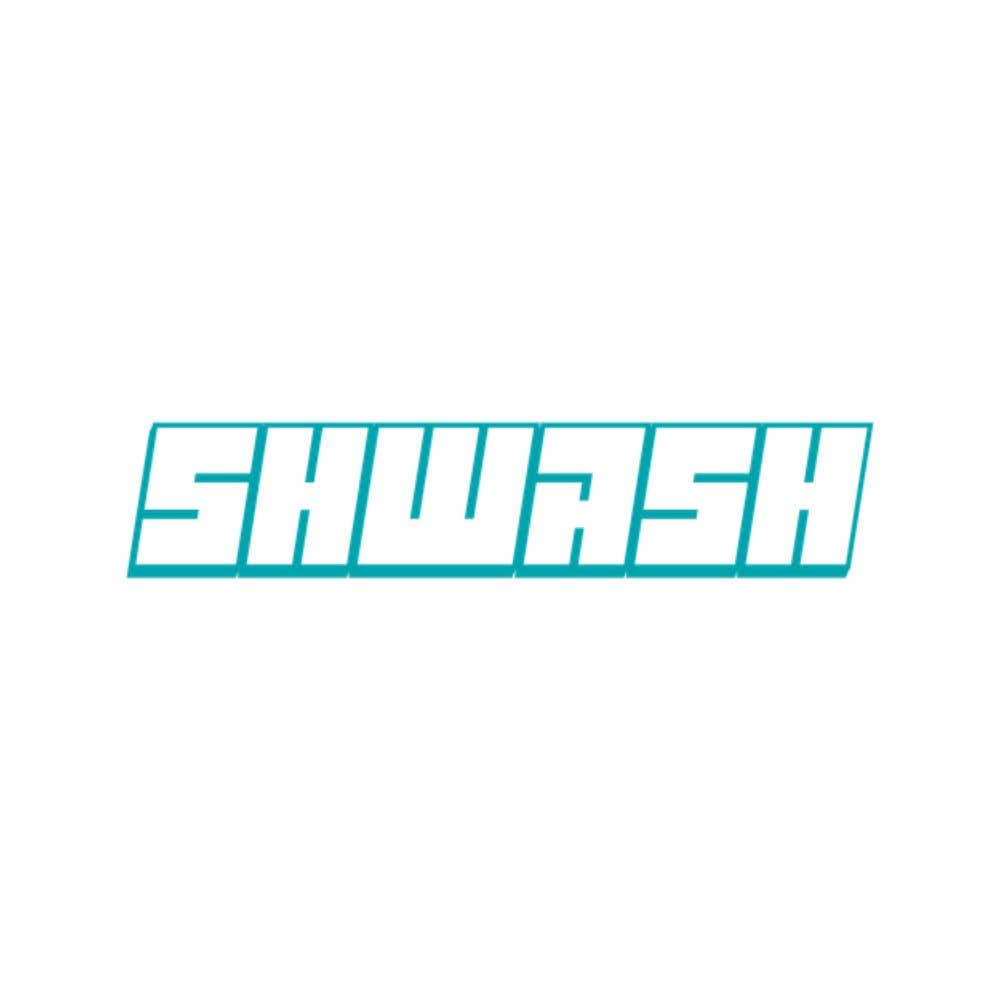 SHWASH Mobile Car Detailing