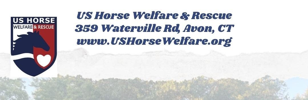 US Horse Welfare and Rescue Org