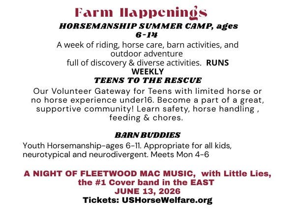 US Horse Welfare and Rescue Org