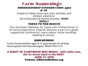 US Horse Welfare and Rescue Org