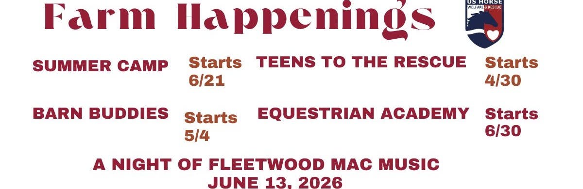 US Horse Welfare and Rescue Org