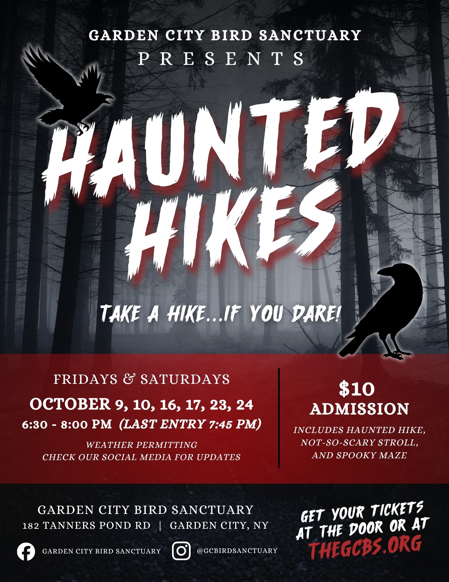 Haunted Hikes at the Garden City Bird Sanctuary