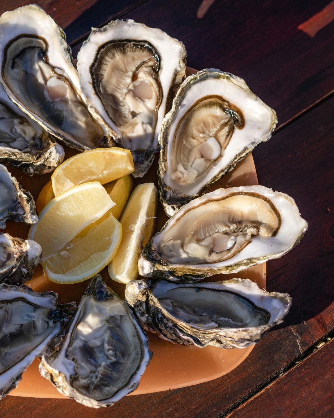 Randall's Restaurant Shuck and Sips Event