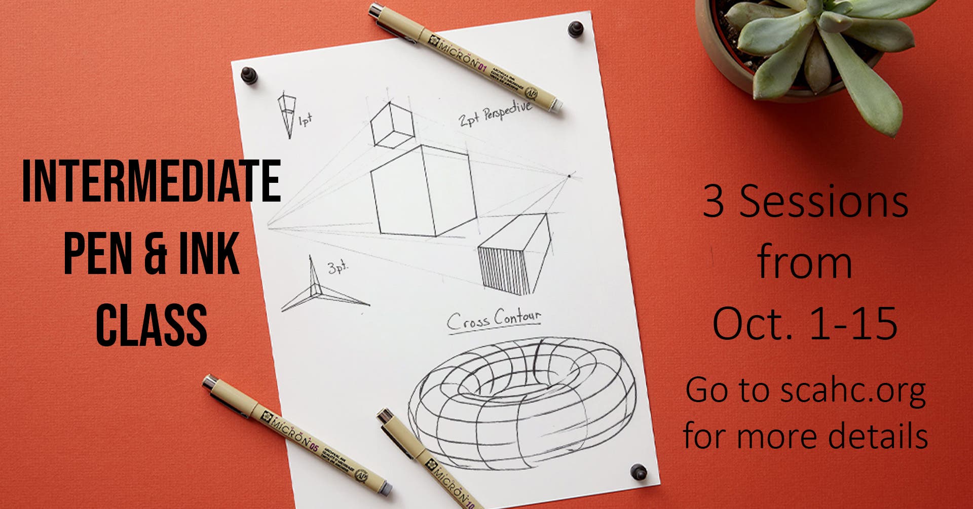 Intermediate Pen and Ink Class
