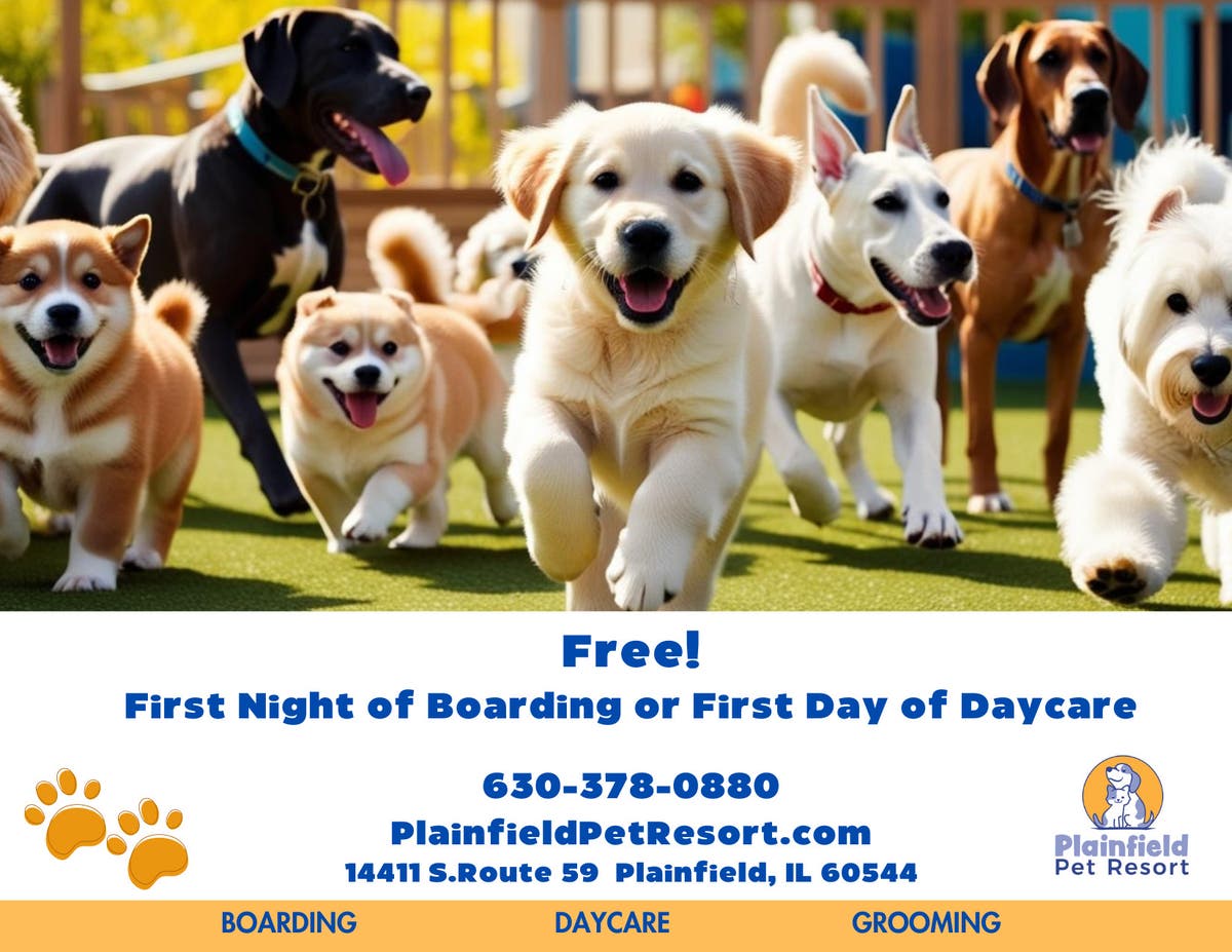 Plainfield Pet Resort