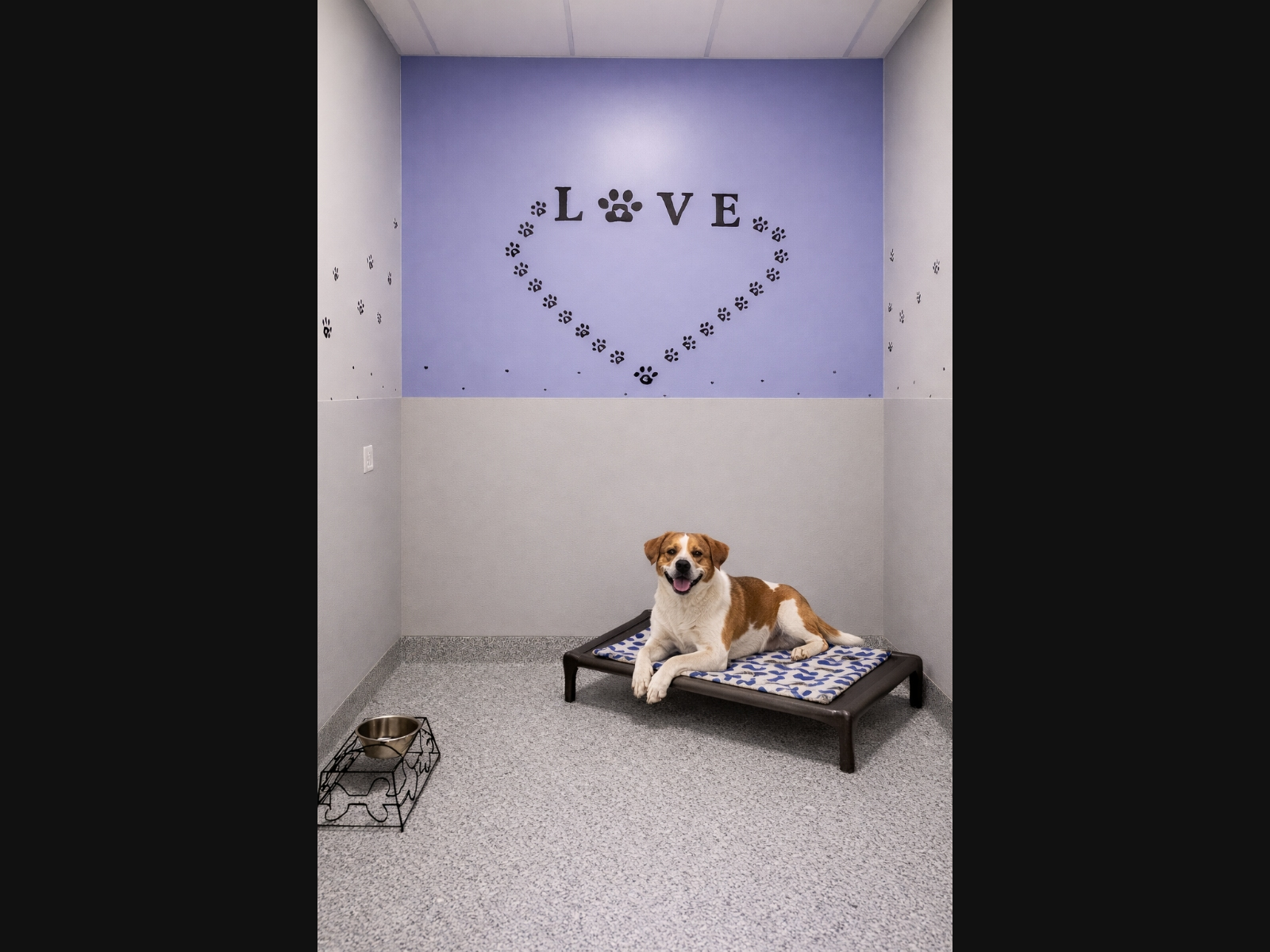 Plainfield Pet Resort Now Open at 7:00 AM to Serve Busy Pet Owners ...