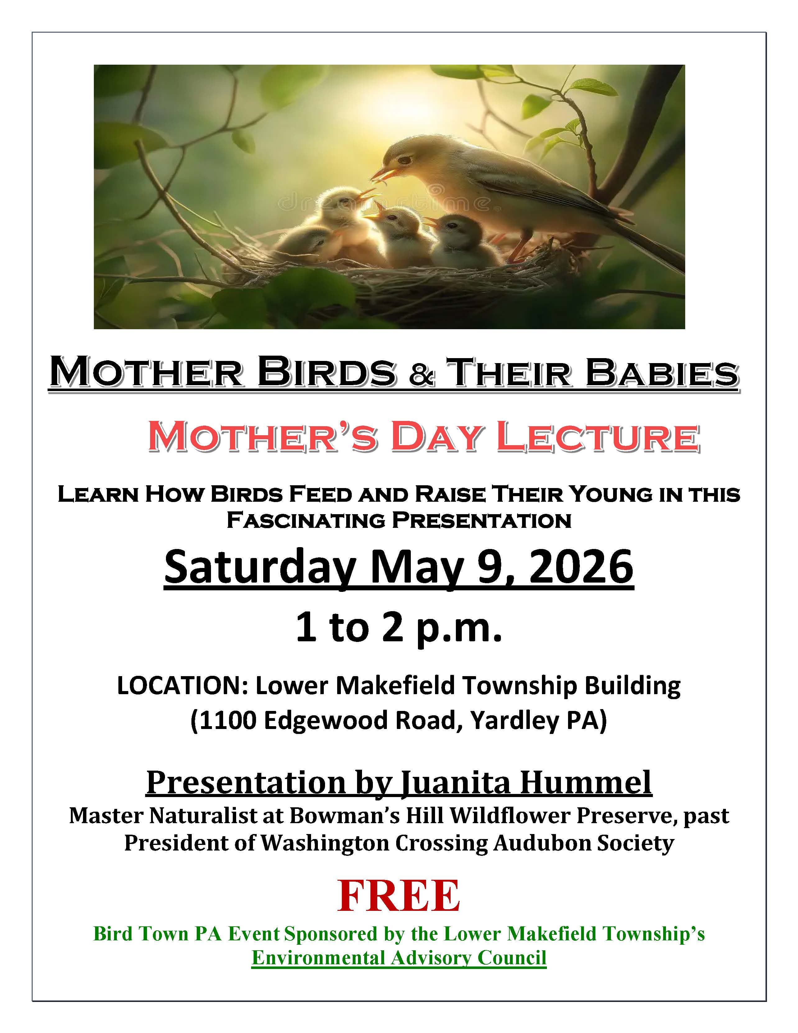 Mother Birds & Their Babies Mother's Day Lecture