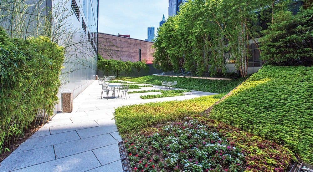 Commercial Landscaping Experts in NYC – Indoor, Outdoor & Holiday Design Services