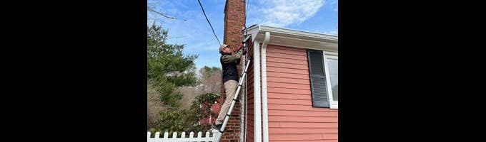 Eastern Pine Pest Control
